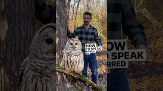 How to Speak Barred Owl 🦉 owls natureeducation naturalist birdcalls [upl. by Gemma]