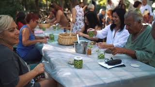 Sea Garden Harvest Day  Sea Garden Zeytin Hasadı [upl. by Korenblat928]