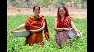 farming nepal [upl. by Asihtal]