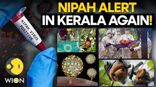 Nipah Virus 2 Deaths Confirmed In Kerala Health Minister Mansukh Mandaviya  N18S  CNBC TV18 [upl. by Nomelc890]