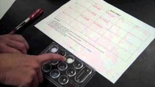 Forming Ionic Compounds Lab [upl. by Nimajeb101]