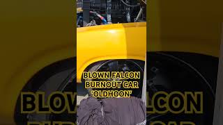 Stunning Blown Falcon Burnout Car OLDHOON Owned by Flinty460 the man himself shorts [upl. by Yrrot]