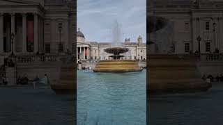 Fountain in Trafalgar Square london greatbritain traveltheworld [upl. by Wallache]