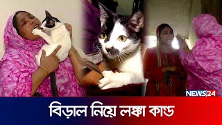 বিড়াল নিয়ে প্রধানমন্ত্রীর কার্যালয়ে অভিযোগ  cat crisis  News24 [upl. by Adlen754]