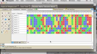 07 Setting Codon Positions in Mesquite [upl. by Allsopp]