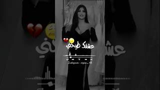 ترندتيكتوك Cheba Dalila  Bravo Omri  عشقك طيحني 🥺♥️  trending tiktok music new [upl. by Hillel]