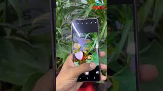 🔥Xperia5mark2 😱அசத்தலான விலையில்⁉️ [upl. by Calysta151]