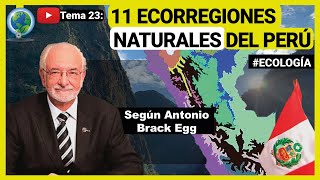 ✅ Las 11 ecorregiones naturales del Perú según Antonio Brack Egg  🍃ecología [upl. by Cates]