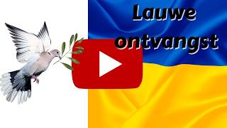 Vredesplan Oekraïne lauw ontvangen in VN en VS [upl. by Leafar]