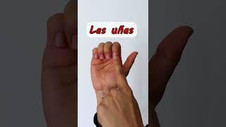 LAS PARTES DE LA MANO 🖐️ [upl. by Arick]