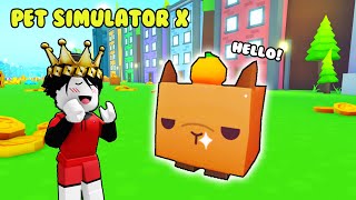 Pet Simulator X I Hatched Huge CAPYBARA 😍  Roblox Tagalog [upl. by Barcroft]