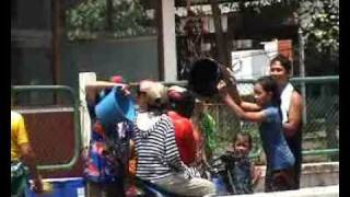 Songkran nouvel an thailandais [upl. by Imrots]