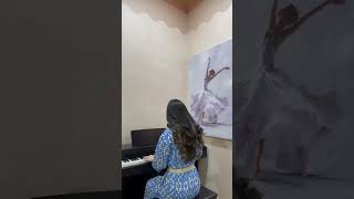 Tanhaye tanha  moein piano cover 💙 pianocover persianmusic moein pianist [upl. by Lamdin]