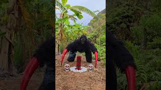 Brave Young Girl Defeats Monster Gorilla [upl. by Clift]