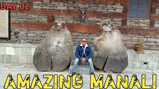 Amazing Manali Vlog Naggar Castle to Prini Day manali himachalpradesh [upl. by Ertnom]