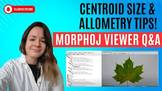 Answering Viewer Questions Centroid Size Scaling Allometry and Distance Matrix in MorphoJ [upl. by Tullus]