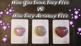 🦢💕 How You Think They Feel VS How They Actually Feel Towards You 🦢💕 🌟 Pick A Card Love Reading [upl. by Anirahs928]