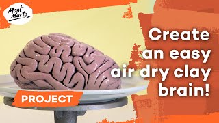 Create a brain model out of air dry clay [upl. by Strohbehn]