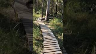 Riding the boardwalk at Woolgoolga mtb mountainbike enduromtb shorts [upl. by Zemaj]