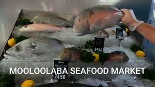 MOOLOOLABA SEAFOOD MARKET Mooloolaba King Prawns Mooloolaba Tiger Prawns Fish Oysters Crabs [upl. by Yrellav399]