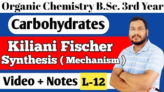 Kiliani Fischer Synthesis Chain Lengthening Carbohydrates BSc 3rd year organic chemistry [upl. by Tammi]