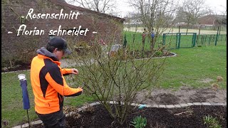 Strauchrosen schneiden  Rosenschnitt einfach erklärt [upl. by Ardnod828]