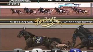 Foiled Again  2013 Breeders Crown Final  Open Horse Pace [upl. by Gordy]