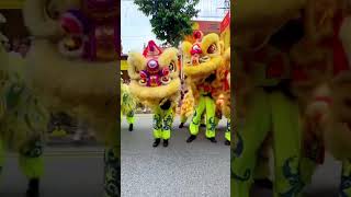 Lion Dance Singapore [upl. by Hunfredo964]