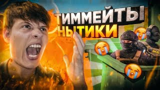 ТИПИЧНЫЕ ТИММЕЙТЫ В STANDOFF 2 подборка Syriter [upl. by Ayotl433]