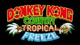 Mountaintop Tussle 2 Boss Battle Donkey Kong Country Tropical Freeze OST [upl. by Mahseh]