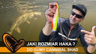 JAK DOBRAĆ ROZMIAR GŁÓWKI JIGOWEJ do GUMY CANNIBAL [upl. by Aneeras]