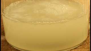 Starting a Liquid Yeast Culture [upl. by Tann]