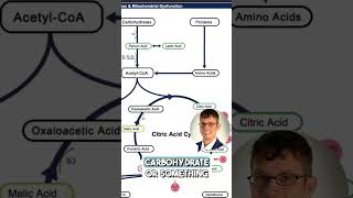 How to Interpret Oxidative Stress amp Mitochondrial Dysfunction Results [upl. by Ondrea88]