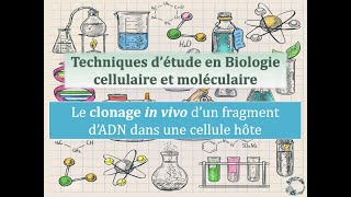 Fiches techniques le clonage in vivo dun fragment dADN dans une cellule hôte [upl. by Hibben]