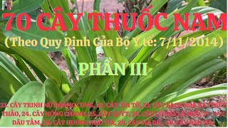 70 Cây Thuốc NamTheo Quy Định Của Bộ Y tế 7112014 Phần III [upl. by Aneerol]