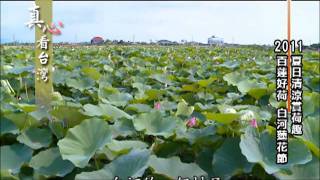 20110710 真心看台灣台南白河蓮花季 [upl. by Townsend]