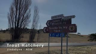 Inside Jindabyne Exploring the Trout Hatchery in NSW Australia [upl. by Whitver]