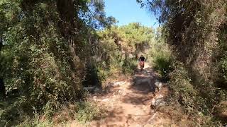 ofer forest single track [upl. by Orimar910]