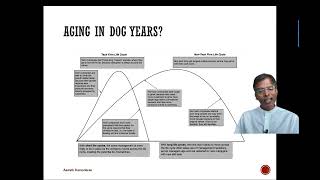 The Corporate Life Cycle The Key Ideas [upl. by Alletse]