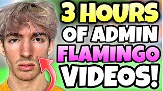 3 HOURS OF FLAMINGO ADMIN VIDEOS TO FALL ASLEEP TO [upl. by Ysle836]