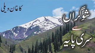 Shogran to Siri Paye  Lahore to Batakundi Naran Kaghan Travel Vlog Part 9  Majid Hashmi [upl. by Mun]