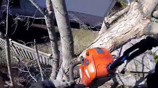 Simple Trimming Silver Maple over 2 yards  Part 2  Arborist Climbing Rigging [upl. by Artinek]