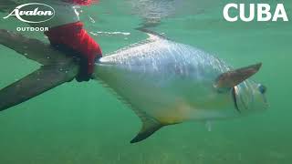 Flyfishing in Cuba Jardines de la Reina [upl. by Bayless]