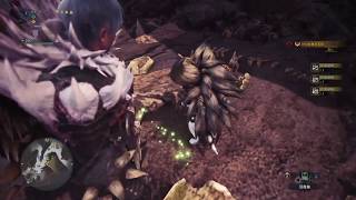 討伐酸翼龍．討伐酸翼龍5頭《Monster Hunter World  魔物獵人世界》Gameplay Walkthrough [upl. by Hacker164]