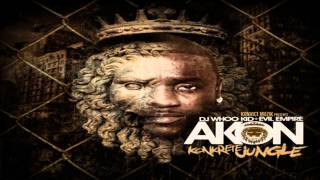 Akon  Used To Know ft Gotye Money J amp Frost [upl. by Ratcliff]