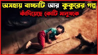 যে সিনেমার গল্পে কাঁদেনি এমন মানুষ খুজে পাওয়া কঠিন  The Little Dog Chinese Movie Bangla Explained [upl. by Aray]