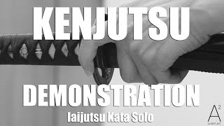 Katori Shinto Ryu Kenjutsu Iaijutsu Kata Solo Demonstration Side View [upl. by Mayne932]