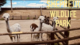 Shepreth Wildlife Park  Walking Tour  4K [upl. by Juan]