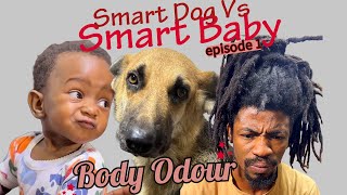 Storm The Smart Dog And The Smart Baby  Siblings War EP2  Layla The Boxer  Germanshepherd dog [upl. by Georgette]