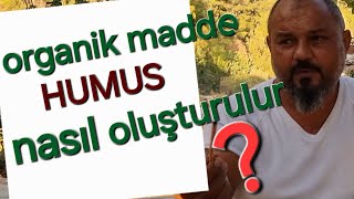 organik madde nasıl oluşturulur humus organik madde oluşumu tropikaltopraktv gübreleme [upl. by Chuch]